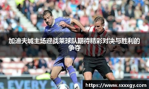 加迪夫城主场迎战莱球队期待精彩对决与胜利的争夺